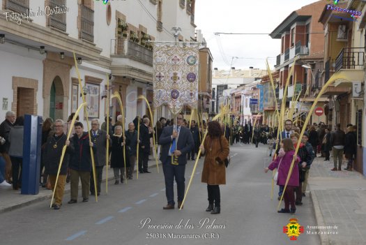 Procesion de Las Plamas en Manzanares 2018